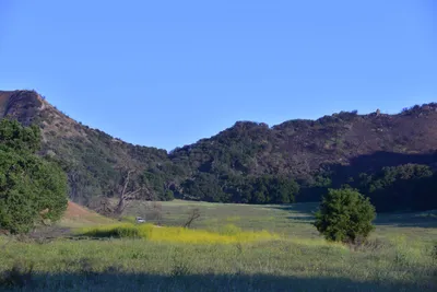 DSC_6189 (Large).JPG